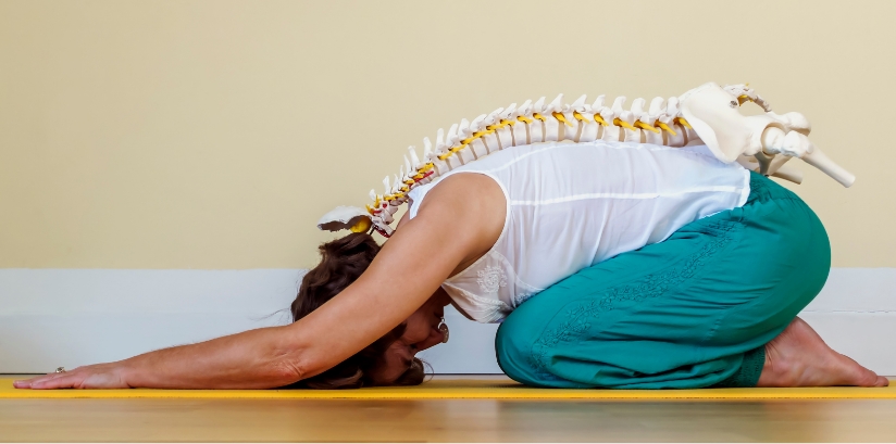 spinal-articular-therapy-course